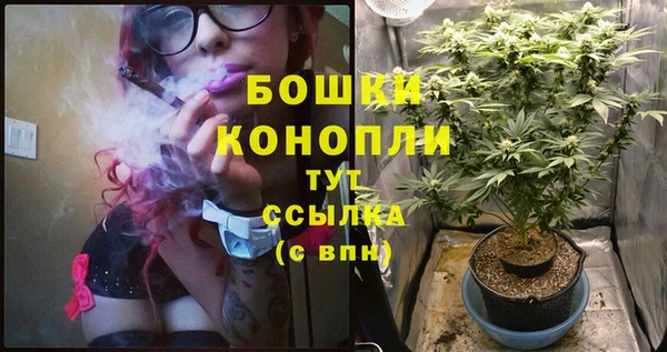 гидропоника Михайловка