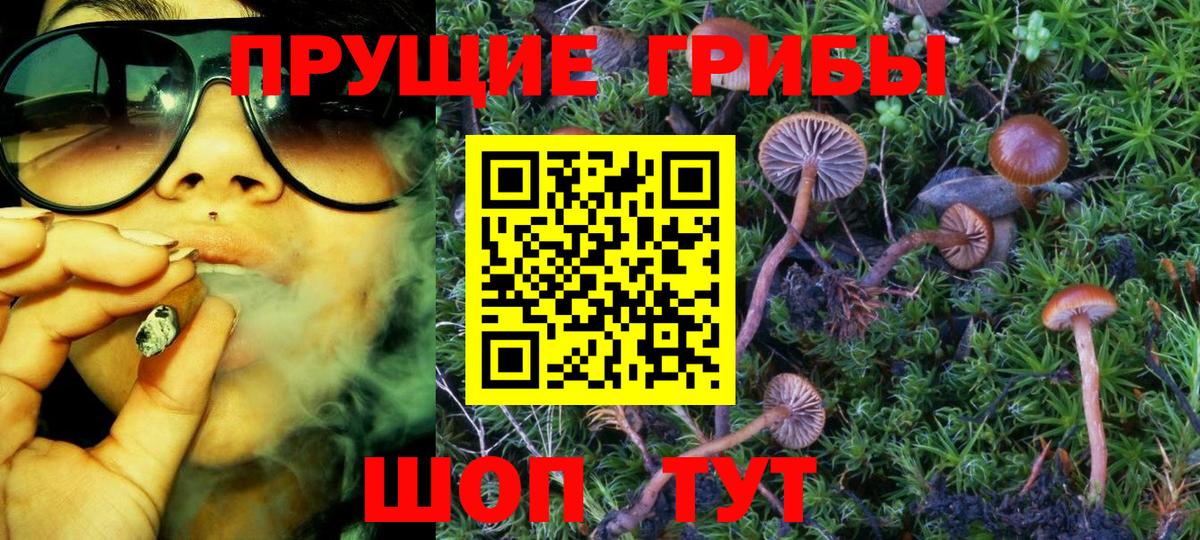 Галлюциногенные грибы мицелий Черногорск