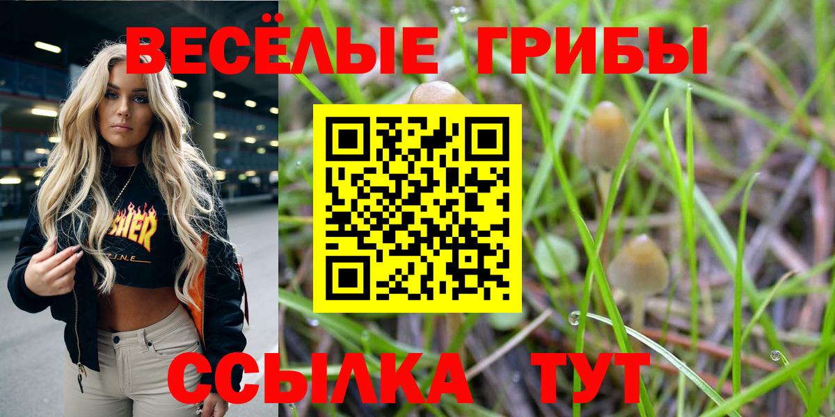 что такое   Вход с VPN  Черногорск  Галлюциногенные грибы ЛСД  Псилоцибиновые грибы прущие грибы 
